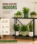 Ecofynd Adam Metal Plant Stand | 2-Tier Shelf for Indoor & Outdoor Use | Ecofynd