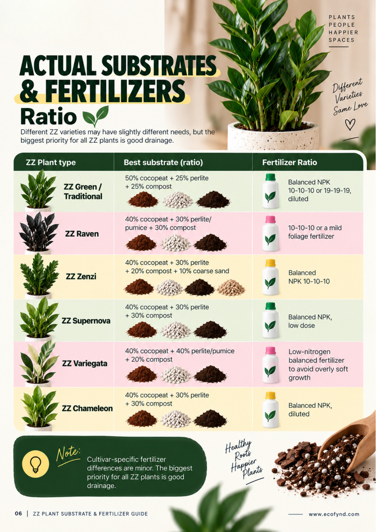 Chart detailing the best potting soil substrate ratios and fertilizer types for different ZZ plant varieties, including ZZ Raven, Zenzi, Variegata, and Chameleon, emphasizing good drainage.