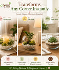 ecofynd Glass Terrarium Bowl