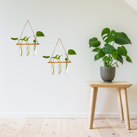 test tube plant hanger Ecofynd Hanging Test Tube Planter – Hydroponic Decor