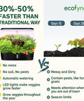ecofynd Hydra 12-Pod Indoor Hydroponics System – Smart Gardening Made Easy
