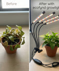 ecofynd Nysa Grow Light for Indoor Plants All-in-One (Seedlings to Fruits)