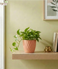 ecofynd Ecofynd Peach Twisted 4 Inch Ceramic Cachepot Planter for Indoor Plants