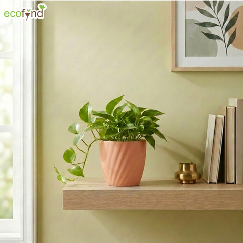 ecofynd Ecofynd Peach Twisted 4 Inch Ceramic Cachepot Planter for Indoor Plants