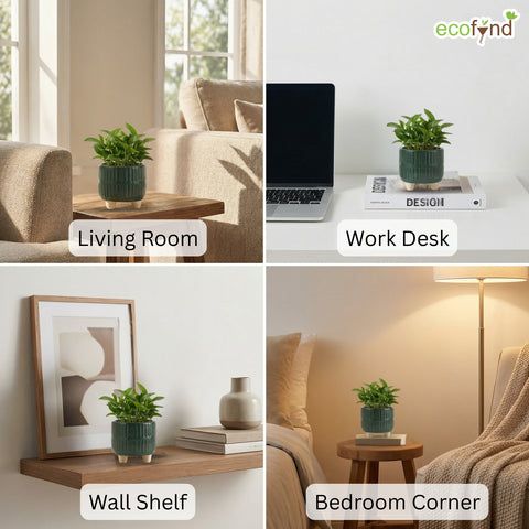 ecofynd Ecofynd Dark Green 3.5 Inch Ribbed Ceramic Cachepot Planter with Drainage Hole