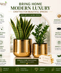 ecofynd Premium Golden Metal Planter – Set of 2, Spiral Design