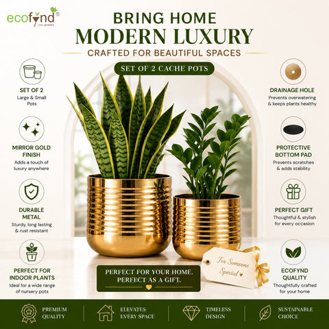 ecofynd Premium Golden Metal Planter – Set of 2, Spiral Design