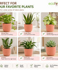 ecofynd 5 Inch Ceramic Plant Pots with Drainage Hole