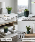 ecofynd Ecofynd Dark Green 4.3 Inch Cachepot Planter with Drainage Hole for Desk