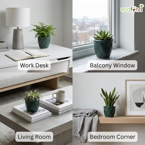 ecofynd Ecofynd Dark Green 4.3 Inch Cachepot Planter with Drainage Hole for Desk