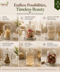ecofynd 3.3 Inches Decorative Glass Bell Jar with Lid