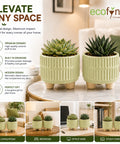 ecofynd 3.5 Inch Ceramic Plant Pots with Drainage Hole