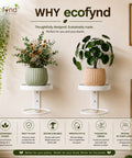 ecofynd 2 Pack Wall Mounted Metal Hanging Plant Stand
