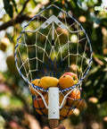 ecofynd Ecofynd White Fruit Picker Net for Mangoes & Tree Fruit Harvesting