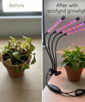 ecofynd Ziva Grow Light for Indoor Plants (Herbs, Leafy Plants & Flowering