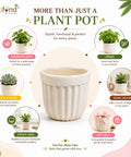 ecofynd 3.5 Inch White Ceramic Plant Pots with Drainage Hole
