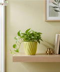 ecofynd Ecofynd Light Green Twisted 4 Inch Ceramic Cachepot Planter for Indoor Plants
