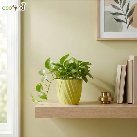 ecofynd Ecofynd Light Green Twisted 4 Inch Ceramic Cachepot Planter for Indoor Plants