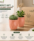 ecofynd 4 Inch Ceramic Plant Pots with Drainage Hole