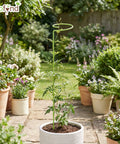 ecofynd Light Green Metal Plant Trellis – 18 Inch Rust-Resistant Stake