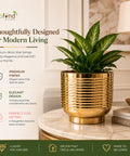 ecofynd Halo Ribbed 7 Inch Planter - Gold Finish Symmetrical Design