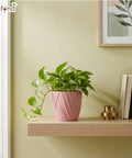 ecofynd Ecofynd Pink Twisted 4 Inch Ceramic Cachepot Planter for Indoor Plants
