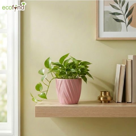 ecofynd Ecofynd Pink Twisted 4 Inch Ceramic Cachepot Planter for Indoor Plants