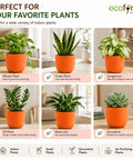ecofynd 5 Inch Ceramic Plant Pots with Drainage Hole