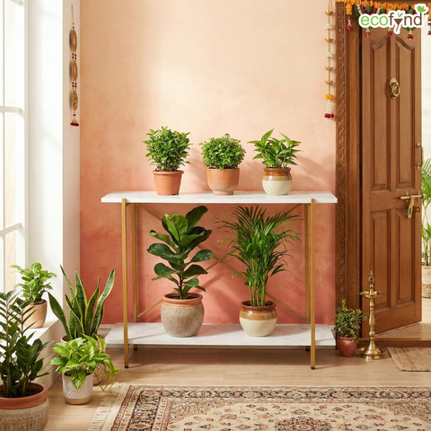 ecofynd Jr Elix Metal Plant Stands for Outdoor Balcony