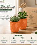 ecofynd 4 Inch Ceramic Plant Pots with Drainage Hole