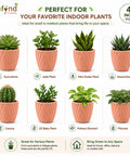 ecofynd 4 Inch Ceramic Plant Pots with Drainage Hole
