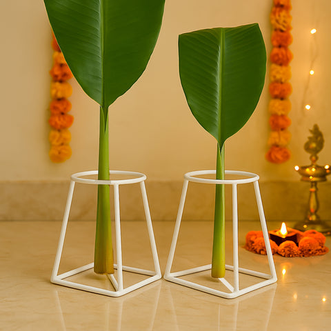 ecofynd Banana Plant Stand (Pack of 2) – White Metal Stand for Puja, Weddings & Festivals