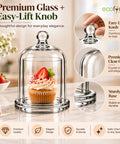 ecofynd 3.3 Inches Decorative Glass Bell Jar with Lid