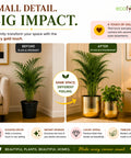 ecofynd Set of 2 Linea Patterned Golden Groove Planter – Gold Finish