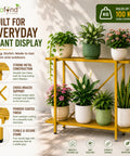 Ecofynd Adam Metal Plant Stand | 2-Tier Shelf for Indoor & Outdoor Use | Ecofynd