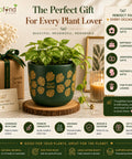 ecofynd 4.5 Inch Monstera Terracotta Pot for Indoor Plant