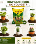 ecofynd All Purpose 5KG Potting Soil for Indoor & Outdoor Plants
