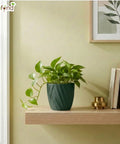 ecofynd Ecofynd Dark Green Twisted 4 Inch Ceramic Cachepot Planter for Indoor Plants