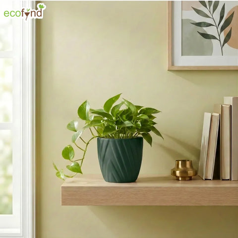 ecofynd Ecofynd Dark Green Twisted 4 Inch Ceramic Cachepot Planter for Indoor Plants