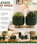 ecofynd 3.5 Inch Ceramic Plant Pots with Drainage Hole