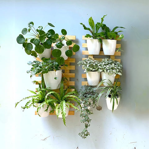 wall indoor hanging plants Ecofynd Wooden Hanging Planter Wall Frame