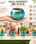 ecofynd Glass Vase for Flowers & Decor – Clear Bowl Shape | Aqua & Golden Hue
