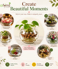 ecofynd Glass Terrarium Bowl