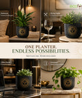 ecofynd 4.5 Inch Celestial Sun Terracotta Pot for Indoor Plants