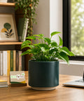 ecofynd Ecofynd 6 Inch Dark Green Ceramic Cachepot Planter with Drainage