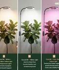 ecofynd Flory 2 Years Warranty Grow Light for Indoor Plants