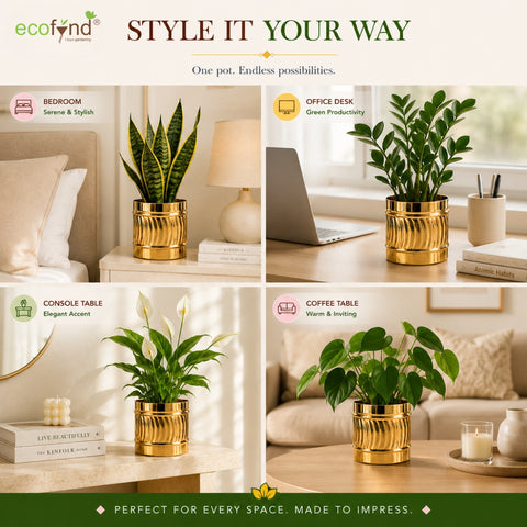 ecofynd Set of 2 Cylindrical Metal Planter – 6 Inch, Symmetrical Design