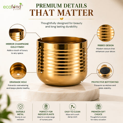 ecofynd Premium Golden Metal Planter – 5 Inch, Spiral Design