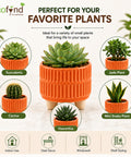 ecofynd 3.5 Inch Ceramic Plant Pots with Drainage Hole