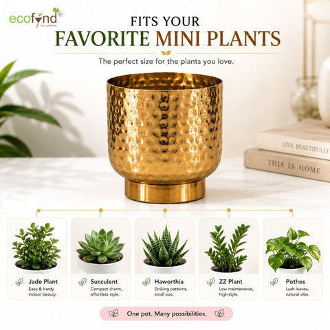 ecofynd Premium Golden Metal Planter – Set of 2, Goblet Design
